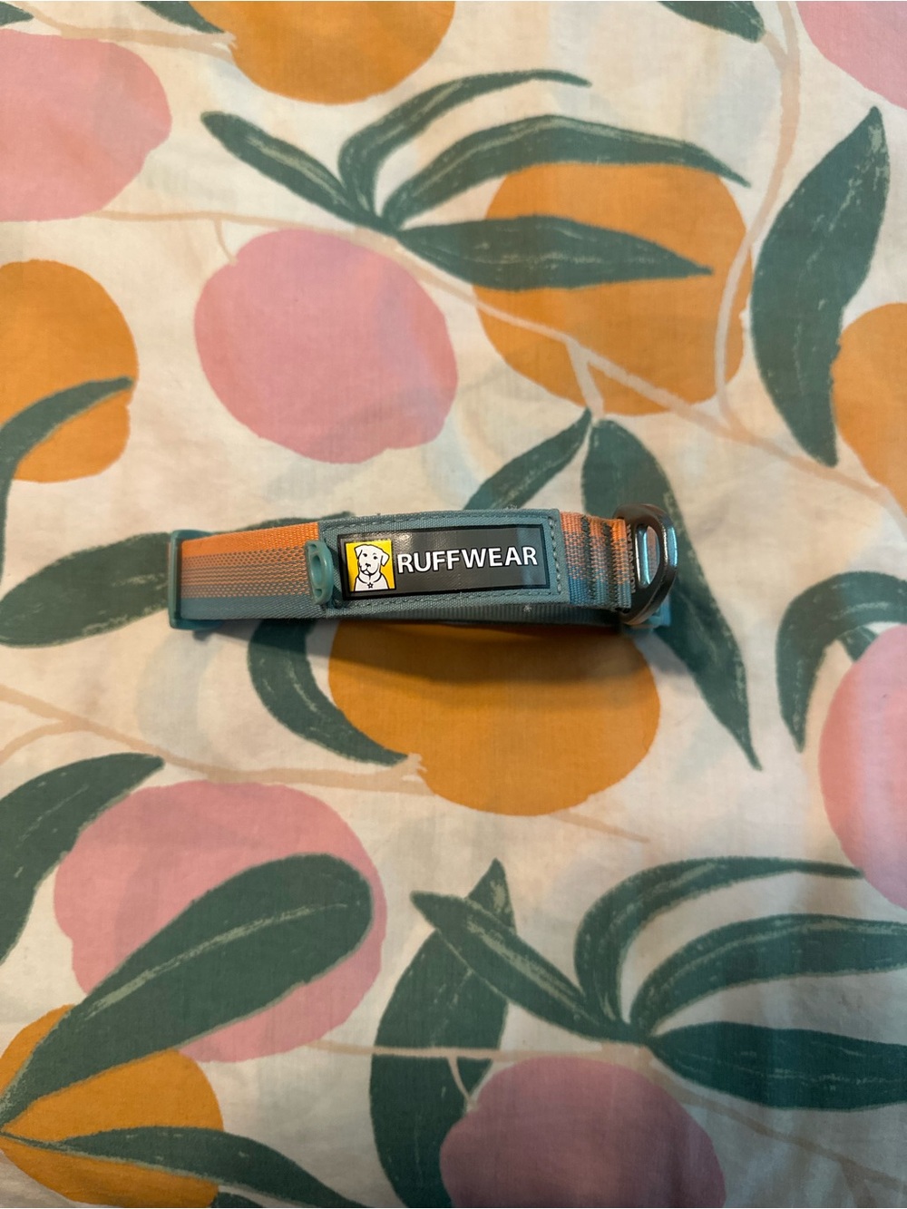 Ruffwear front range dog collar size 14”-20” 
Great condition 
Teal and orange